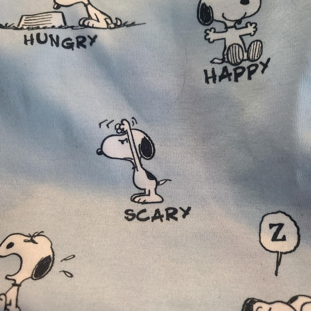 Nwot Snoopy Light Blue Dog Hoodie. Small, Fits Like A Medium - Picture 2 of 10